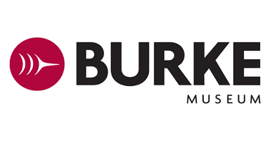 The Burke Museum