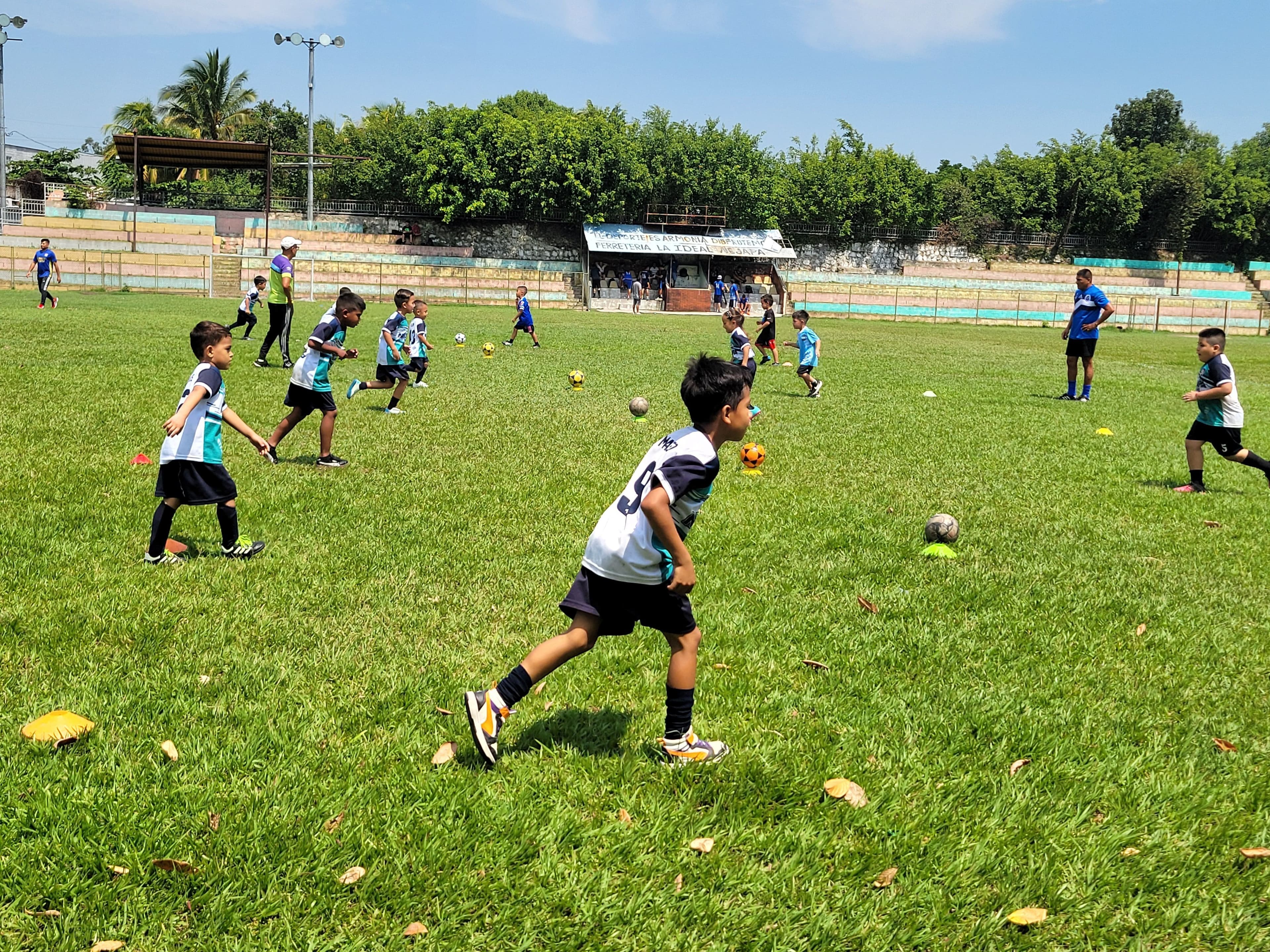 Youth Sports Development
